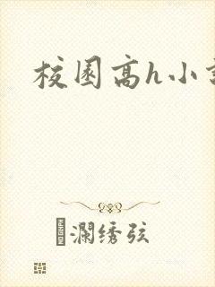 校园高h小说