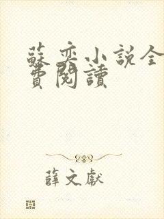 苏奕小说全文免费阅读