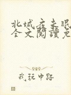 北城夜未眠小说全文阅读免费