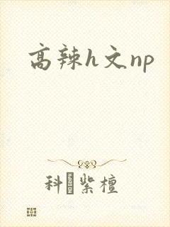 高辣h文np