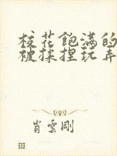 校花饱满的双乳被揉捏玩弄小说