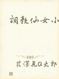 调教仙女小说封面