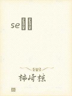 seС˵封面