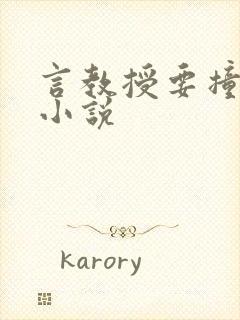 言教授要撞坏了小说