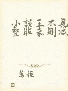 小说王不见王完整版未删减小说