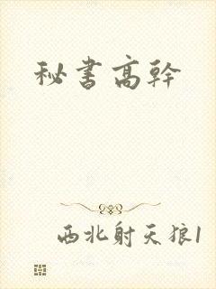 秘书高干