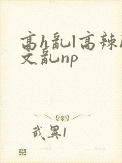 高h乱l高辣h文乱np