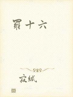 罗十六封面