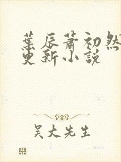 叶辰萧初然最快更新小说