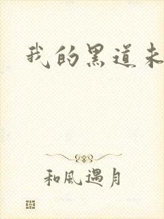 我的黑道未婚夫