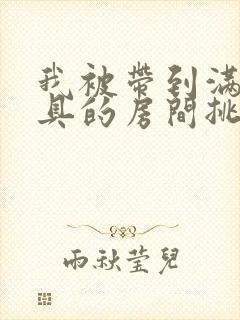 我被带到满是玩具的房间挑调游戏封面