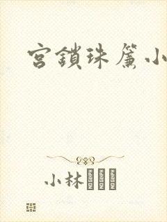 宫锁珠帘小说封面