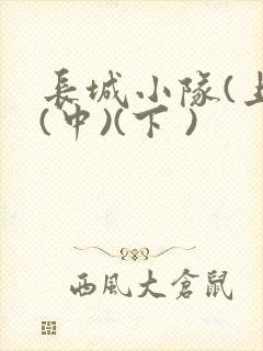 长城小队(上)(中)(下 )