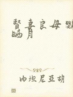 贤妻良母 鹦鹉晒月