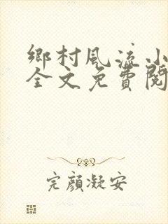 乡村风流小傻子全文免费阅读