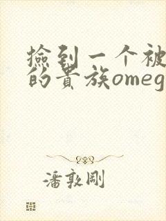 捡到一个被抹布的贵族omega