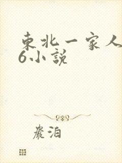 东北一家人1一6小说