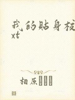 我的贴身校花txt封面