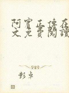 阿宾正传在线全文免费阅读无删减