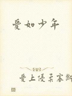 爱如少年封面
