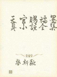 天官赐福墨香铜臭小说全集完整版