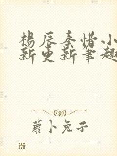 杨辰秦惜小说最新更新笔趣阁免费