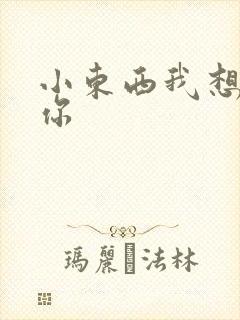 小东西我想弄坏你