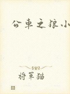 公车之狼小说
