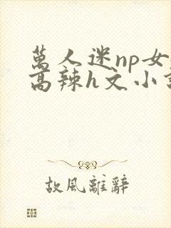 万人迷np女嬷高辣h文小说免费阅读