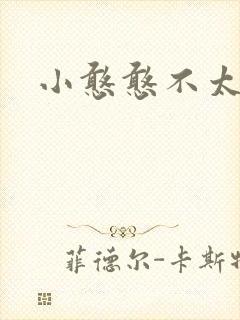 小憨憨不太二封面