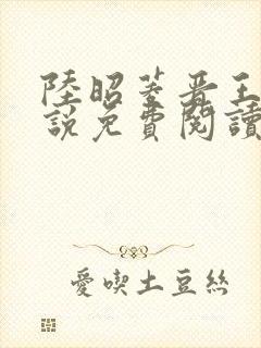 陆昭菱晋王的小说免费阅读封面