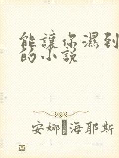 能让你湿到不行的小说