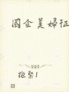 国企美妇征途