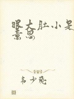 眼大肚小是什么意思