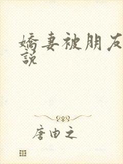 娇妻被朋友操小说