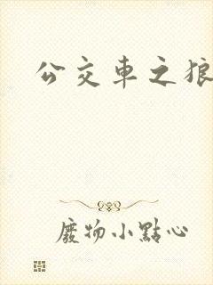 公交车之狼封面