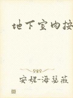 地下室肉按摩椅