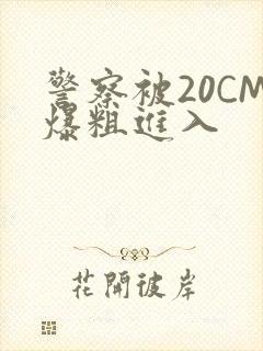 警察被20CM爆粗进入封面