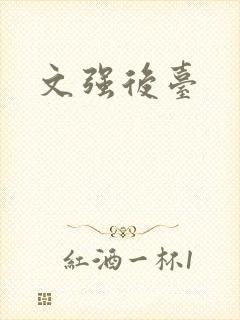 文强后台封面