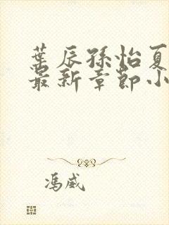 叶辰孙怡夏若雪最新章节小说