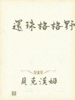 还珠格格野传封面