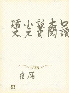 赌小说木口银全文免费阅读笔趣阁