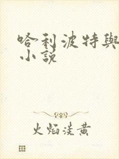 哈利波特与密室小说