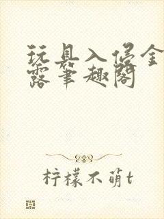 玩具入侵金银花露笔趣阁