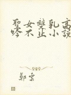 圣女双乳高耸呻吟不止小说