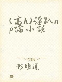 (高h)淫趴np伦小说