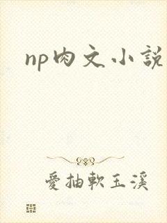 np肉文小说封面