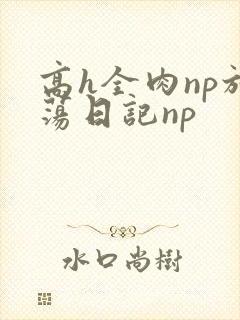高h全肉np放荡日记np
