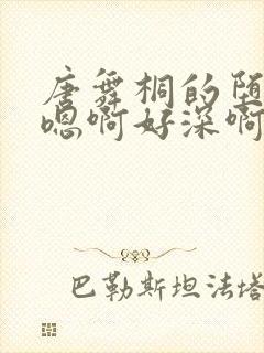 唐舞桐的堕落H嗯啊好深啊