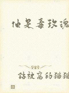 他是毒玫瑰封面